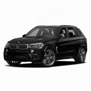 Выкуп двигателей BMW BMW X5 M
