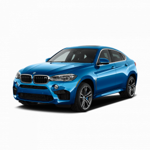Выкуп двигателей BMW BMW X6 M